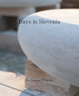 Days in Slovenia by Leslie Wayne book cover