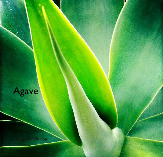 View Agave by Gregory R Winter