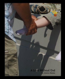 A Love Without End book cover