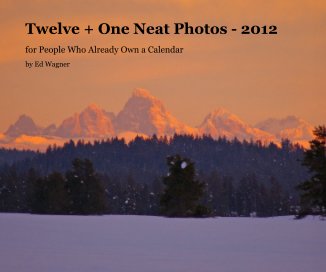 Twelve + One Neat Photos - 2012 book cover