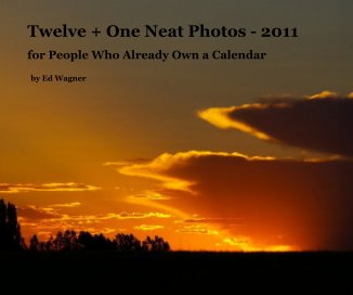Twelve + One Neat Photos - 2011 book cover