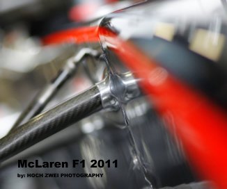 McLaren F1 2011 20 x 25 book cover