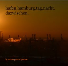 hafen.hamburg.tag.nacht.dazwischen. book cover