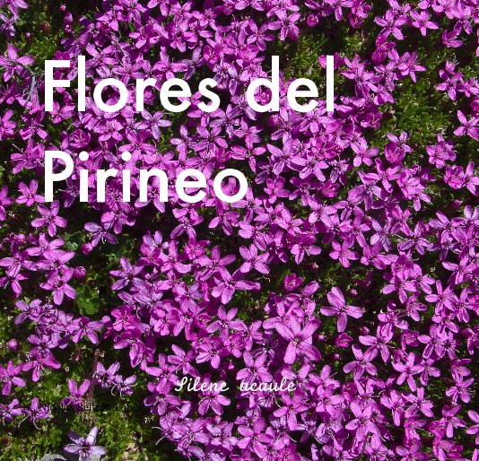 Ver Flores del Pirineo por Nicolás Beltrán López