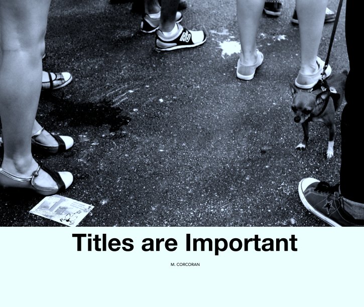 View Titles are Important by M. CORCORAN