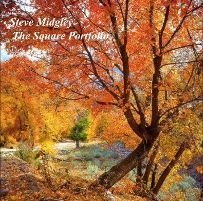 Steve Midgley 
 The Square Portfolio (12") book cover
