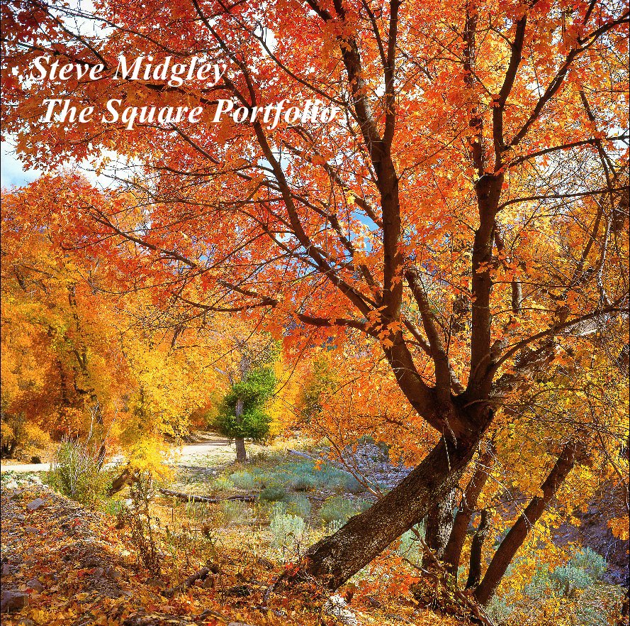 View Steve Midgley 
 The Square Portfolio (12") by Steve Midgley
