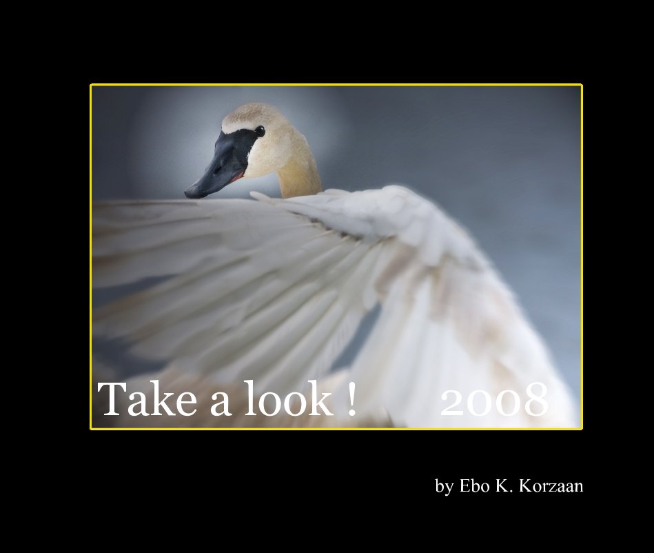 Bekijk Take a look ! 2008 op Ebo K. Korzaan