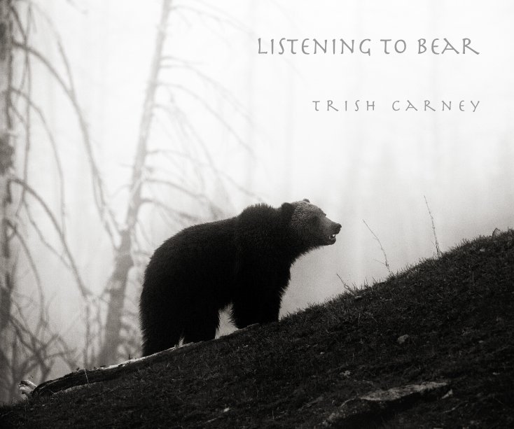 View Listening to bear by T r i s h  C a r n e y