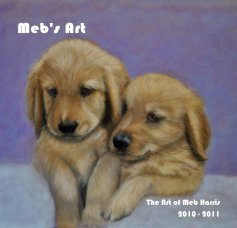 Meb's Art book cover
