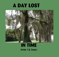 A Day Lost In Time book cover