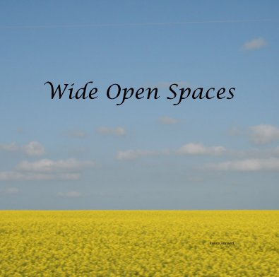 Wide Open Spaces book cover