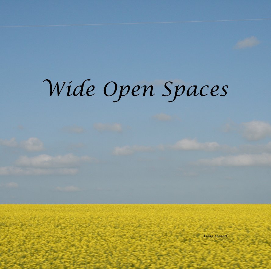 View Wide Open Spaces by Laura Annaert
