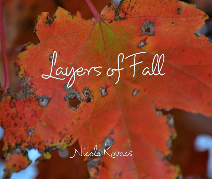 View Layers of Fall by Nicole Kovacs