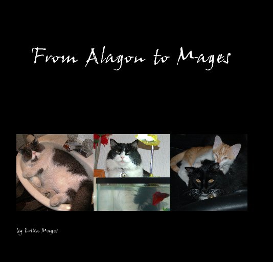 View From Alagon to Mages by Erika Mages