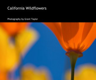 California Wildflowers book cover