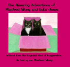The Amazing Adventures of Manfred Wong and LuLu Jones book cover