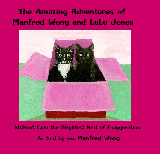 The Amazing Adventures of Manfred Wong and LuLu Jones nach Sacha & James McDonald anzeigen