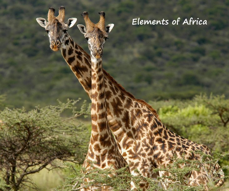 Visualizza Elements of Africa di Roger Atkins