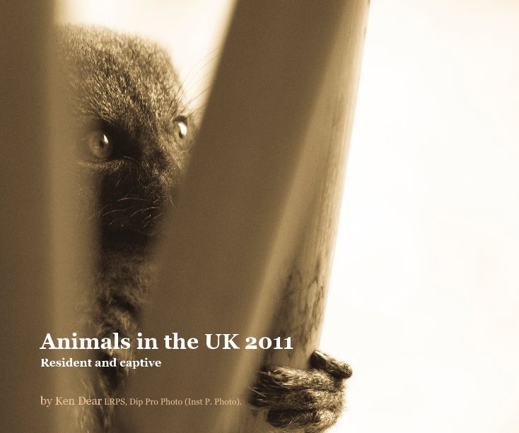 View Animals in the UK 2011 by Ken Dear LRPS, Dip Pro Photo (Inst P. Photo).