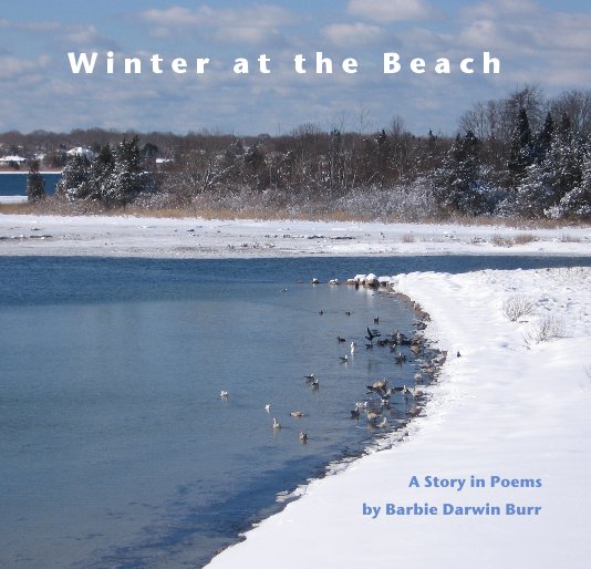 View Winter at the Beach by Barbie Darwin Burr