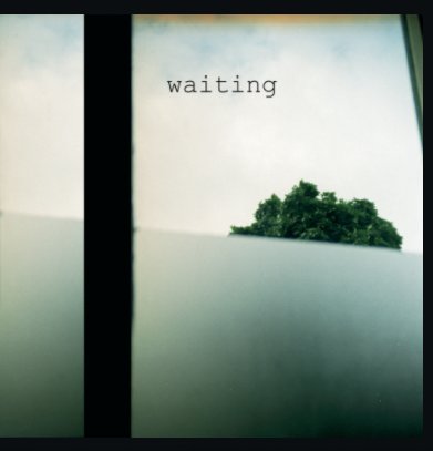 waiting book cover