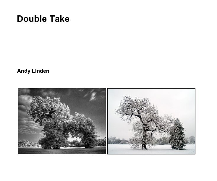 Ver Double Take por Andy Linden