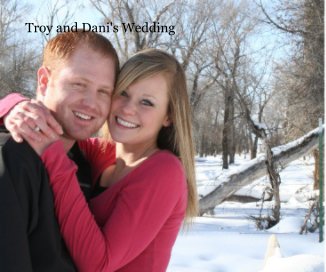 Troy and Dani's Wedding book cover