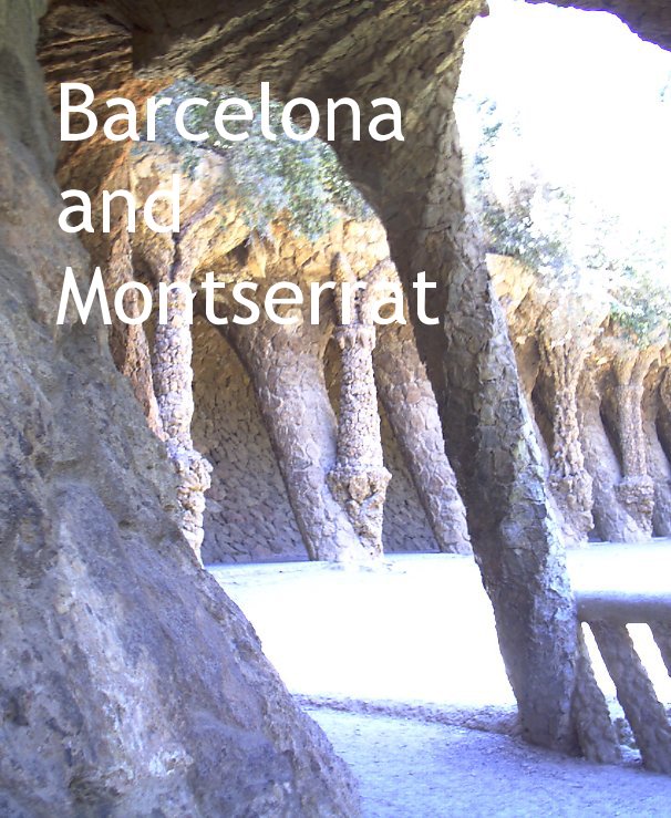 View Barcelona and Montserrat by Ottmar Morett