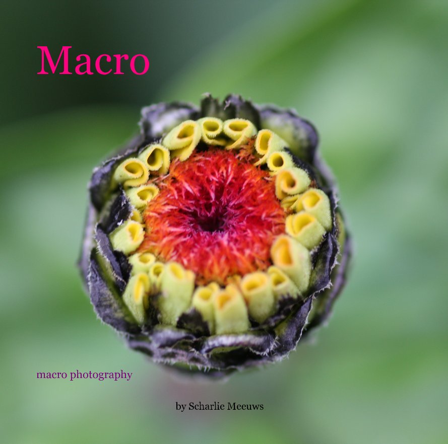 View Macro by Scharlie Meeuws