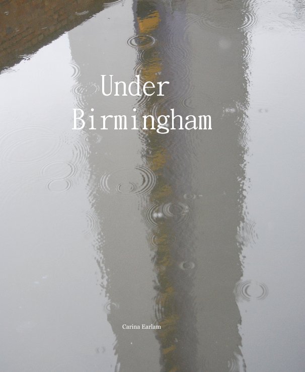 View Under Birmingham by Carina Earlam