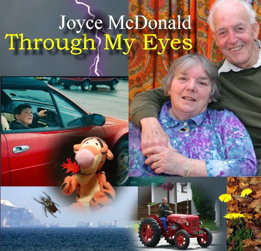 View Through My Eyes by Joyce and Dave McDonald