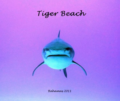 Tiger Beach book cover