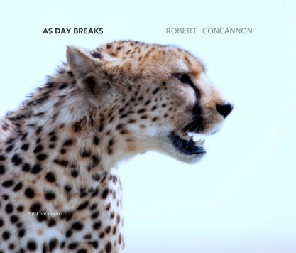 AS DAY BREAKS                        ROBERT  CONCANNON book cover