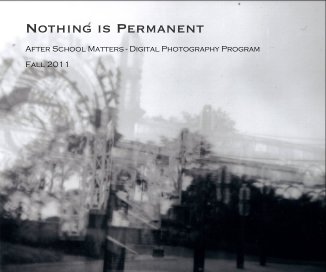 Nothing is Permanent book cover