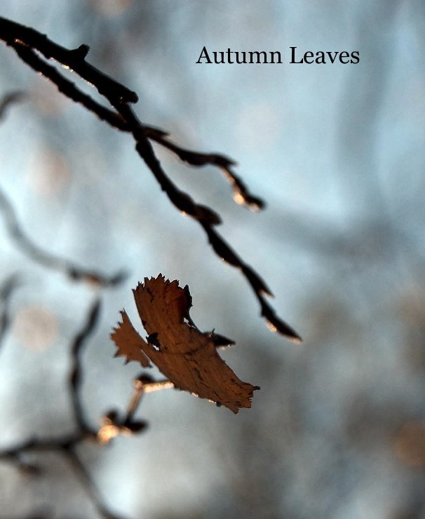 View Autumn Leaves by casavieille