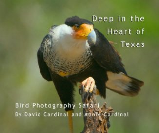 Texas Bird Photo Safari book cover