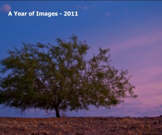 A Year of Images - 2011 book cover
