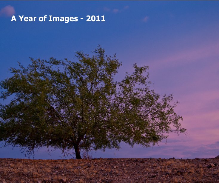 A Year of Images - 2011 nach Dave Schwartz anzeigen