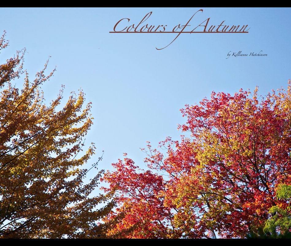 View Colours of Autumn by Kellianne Hutchinson