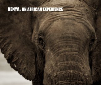 KENYA : AN AFRICAN EXPERIENCE book cover