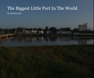 The Biggest Little Port In The World book cover