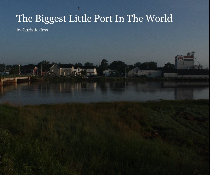 View The Biggest Little Port In The World by Christie Jess
