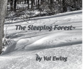 The Sleeping Forest~ book cover