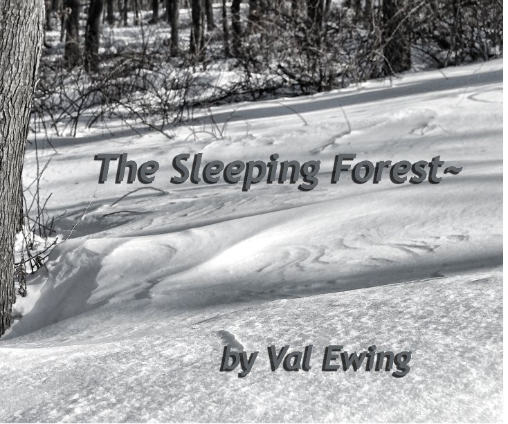 View The Sleeping Forest~ by Val Ewing