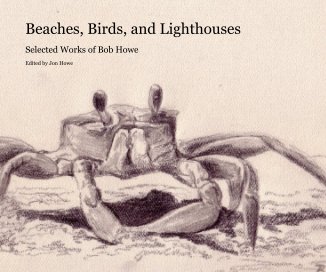 Beaches, Birds, and Lighthouses book cover