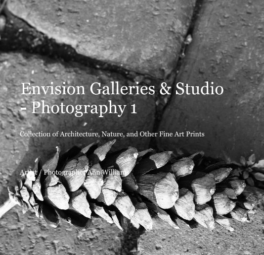 View Envision Galleries & Studio - Photography 1 by Artist / Photographer Ann Williams