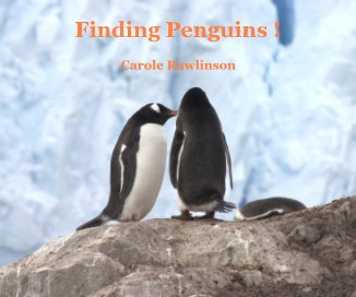 Finding Penguins ! book cover