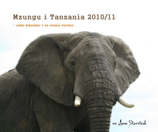 Mzungu i Tanzania 2010/11 book cover