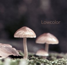 Lowcolor book cover